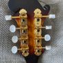 Mandolin Image 5