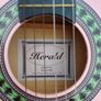 Herald HL34 Beginners Guitar Image 5