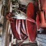 fire hose reel Image 6