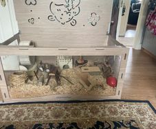 Hamster home