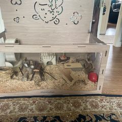 Hamster home