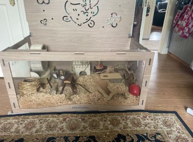 Hamster home