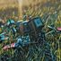 Flowy_fpv