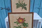 2 x Vintage Botanical Prints