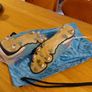 Phantom GX Soccer boots Image 4