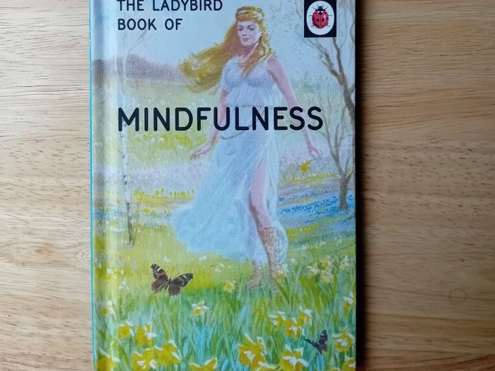Mindfulness- Ladybird For Grown Ups Book