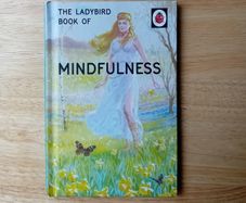 Mindfulness- Ladybird For Grown Ups Book