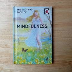 Mindfulness- Ladybird For Grown Ups Book