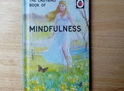Mindfulness- Ladybird For Grown Ups Book