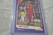 Liverpool Football Card Cody Gakpo /175 Purple