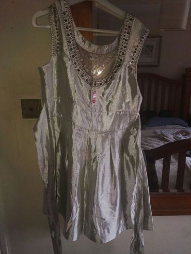 Warehouse Silver Dress