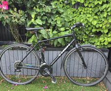 Trek adult hybrid bike