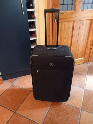 Willis Suitcase
