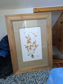Solid pine large picture frames