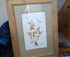 Solid pine large picture frames