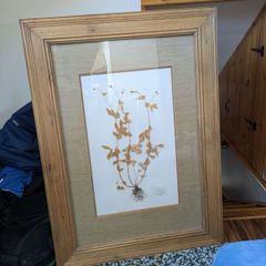 Solid pine large picture frames
