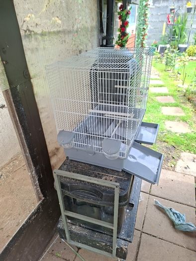 Bird Cages