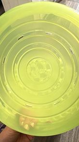 Microwave steriliser