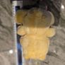Funshine Sunshine Vintage Care Bear Carebear Plush Kenner 6.5inch 1983 Image 5