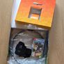 Nintendo Switch Ring Fit Adventure Game Image 2
