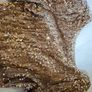 Boohoo mini elegant party dress Size 8UK Image 2