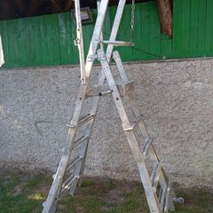 ladder