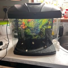 Fish tank