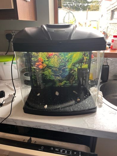 Fish tank