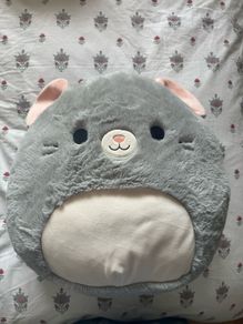 Squishmallow brand: Fuzz-a-mallow mouse teddy