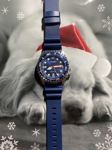 Citizen Promaster Professional Diver Automatic Watch With Navy Rubber Strap Brand New