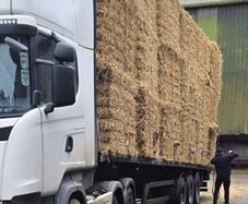Straw