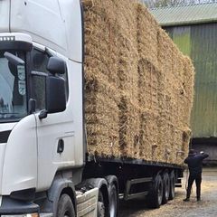 Straw