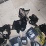 Selection of cargo nets Image 5
