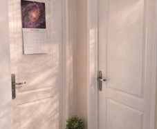 For Sale: Two Elegant Doors