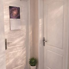 For Sale: Two Elegant Doors