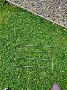 fridge shelf