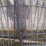 Solid Iron Gates Image 2