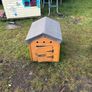 dog box Image 2