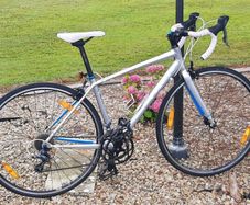Ladies bike