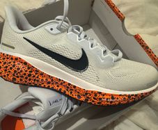 Womens Nike Zoom Pegasus 41 Safari