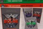 John Grisham Theodore Boone Books