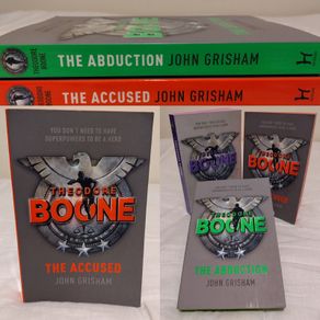 John Grisham Theodore Boone Books