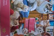 1000 Piece Funny Kittens Jigsaw Puzzle Corner Piece