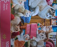 1000 Piece Funny Kittens Jigsaw Puzzle Corner Piece