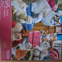 1000 Piece Funny Kittens Jigsaw Puzzle Corner Piece