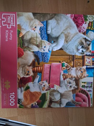 1000 Piece Funny Kittens Jigsaw Puzzle Corner Piece