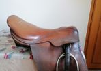 All Purpose Riding Saddle