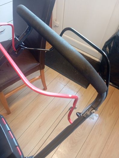 pro-lawn self drive lawnmower