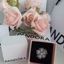 new genuine pandora pendant/brooch Image 9