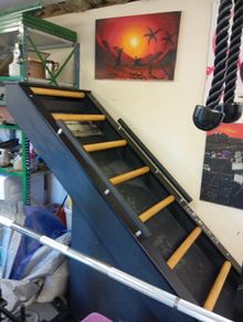 Jacobs Ladder exercise machine